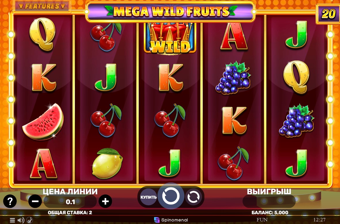 Mega Wild Fruits Slot Game – A Complete Guide for Online Gamblers